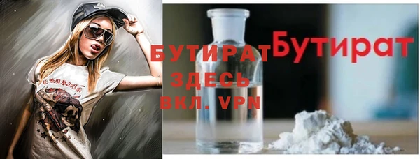 сатива Лабытнанги