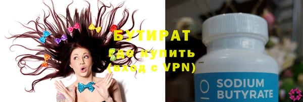 сатива Лабытнанги
