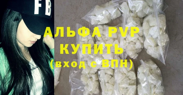 сатива Лабытнанги