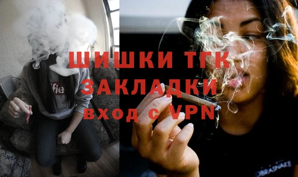 сатива Лабытнанги