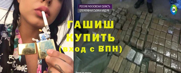 сатива Лабытнанги