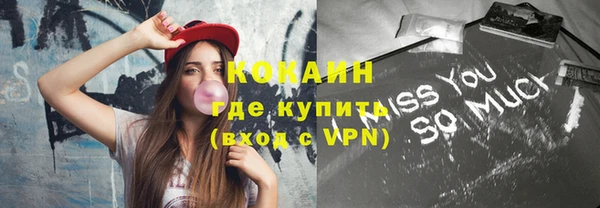 сатива Лабытнанги