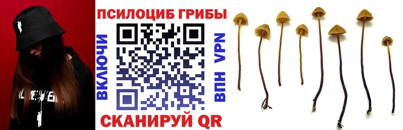 Псилоцибиновые грибы мухоморы  Оренбург 