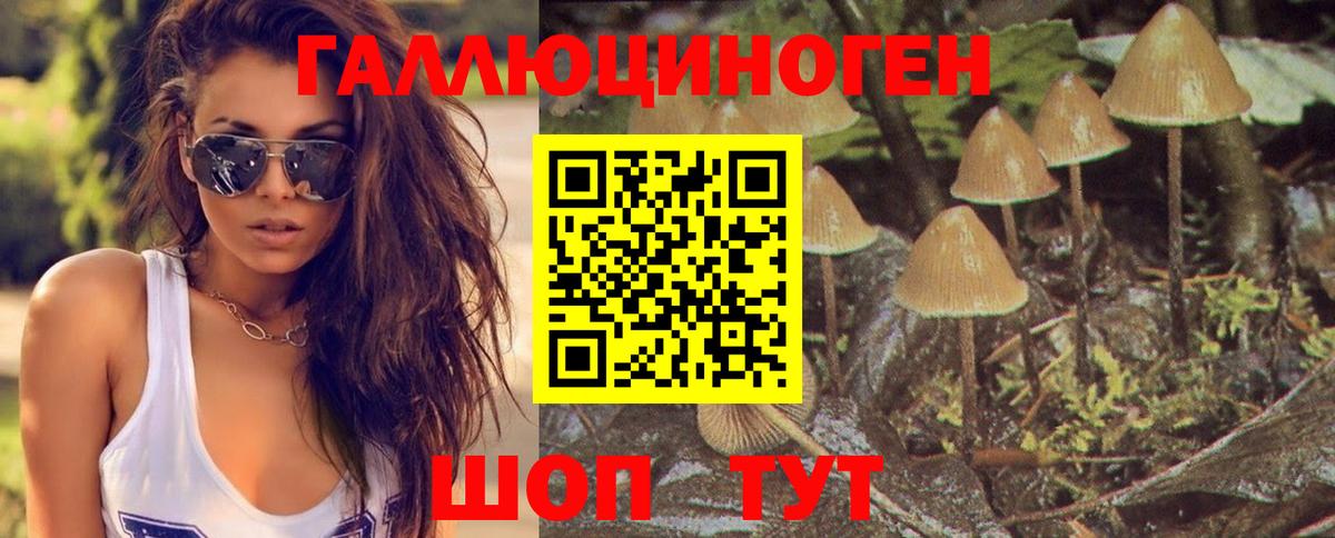 Оренбург  Галлюциногенные грибы GOLDEN TEACHER  Вход с VPN 