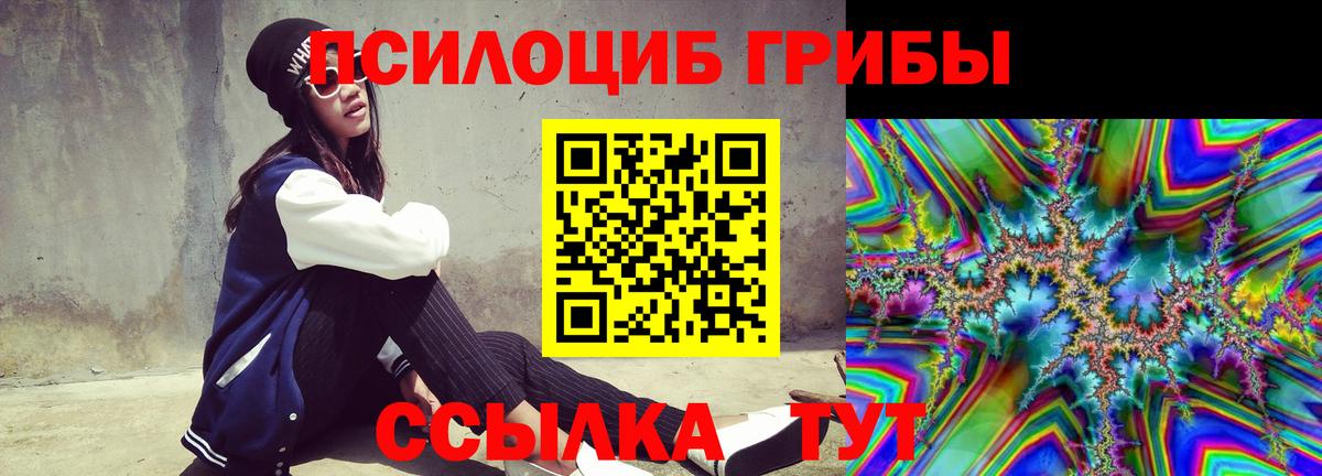 Псилоцибиновые грибы прущие грибы Оренбург